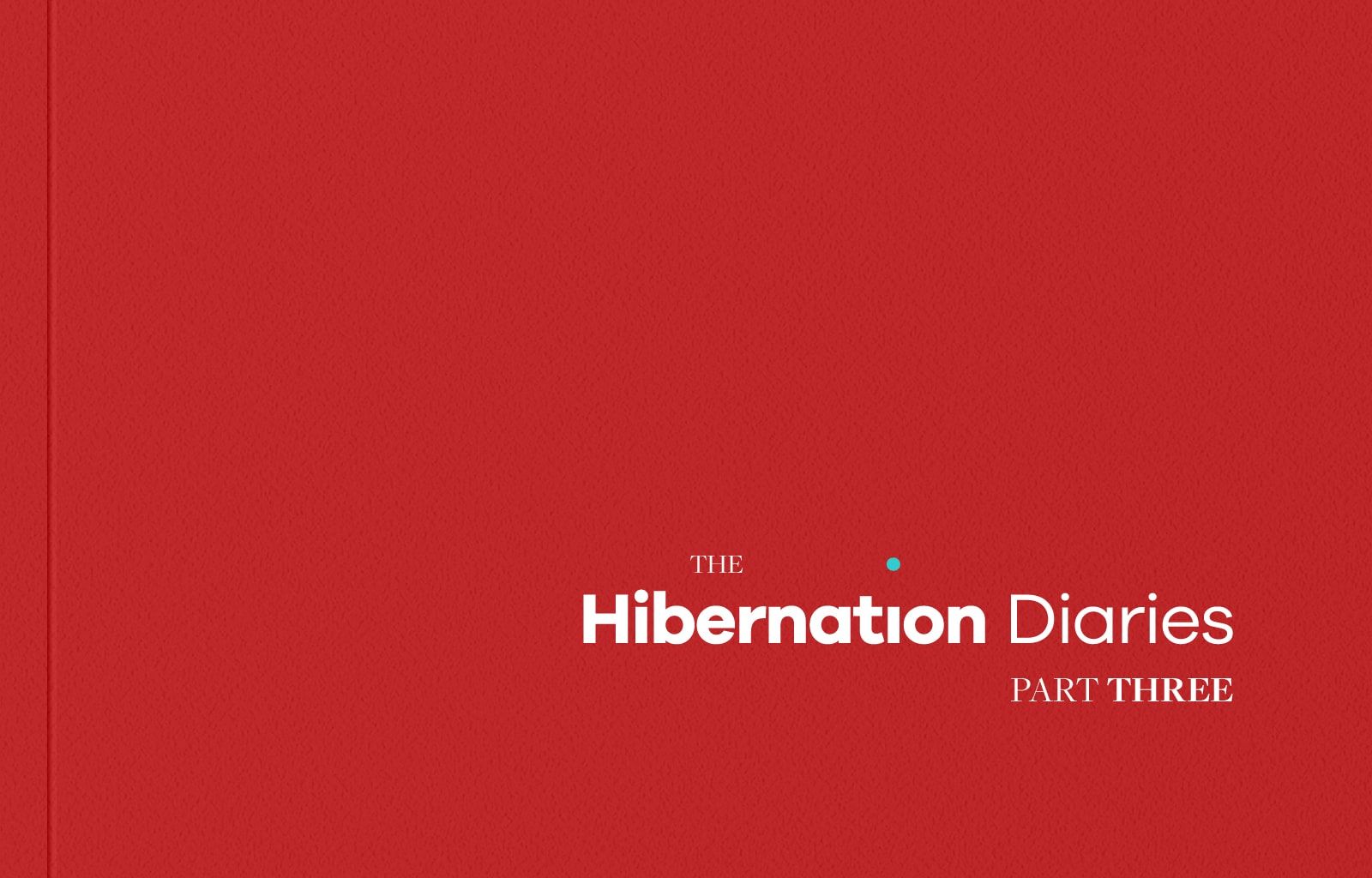 The Hibernation Diaries Part 3